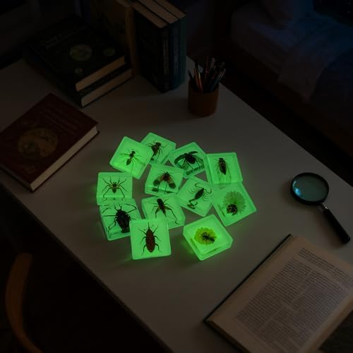 Insect Specimen Set, Bugs Collection Scientific Education Gift for Kids Aged 3-8-12 (12 Pack Glow-in-The-Dark) - Image 5