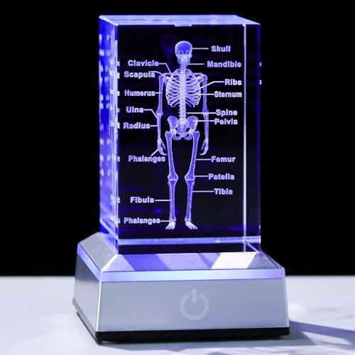 3D Crystal Human Skeleton Anatomy Model Medical Decor Gifts for Doctor, Laser Etched Science Biology Figurine Paperweight Psychology Graduation Gifts for Medical Students with LED Base by LAFT