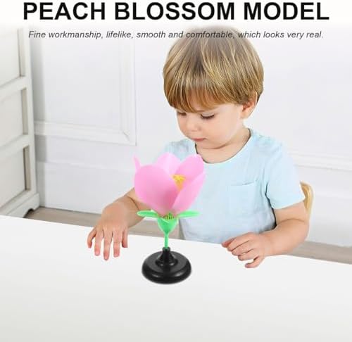 Peach Blossom Model Realistic PVC Biology Teaching Instrument - Image 4