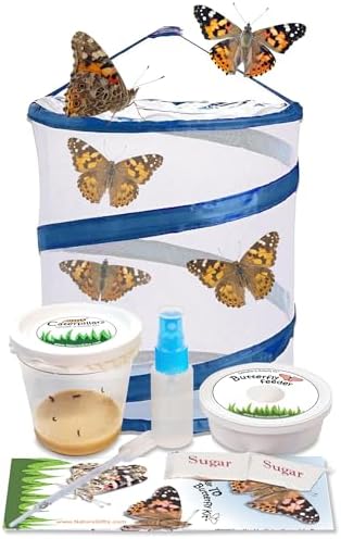 Complete Butterfly Kit with Live Caterpillars (5 Painted Lady) and Habitat by NatureGiftStore