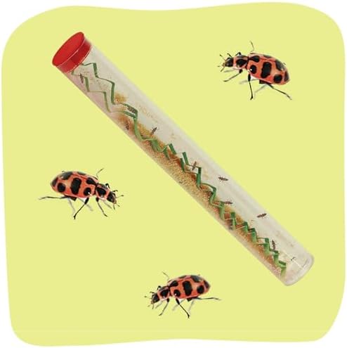 Insect Lore 10-15 Live Pink Spotted Ladybug Larvae, Habitat Refill Kit by InsectLore