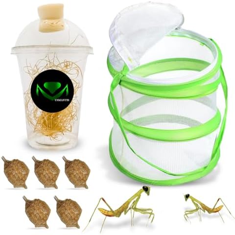USMANTIS T Sinensis Praying Mantis Egg Cases Pack of 5 with Habitat Kit by USMANTIS