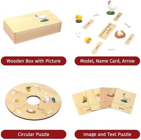 ancona Life Cycle- Chicken, Spanish/Simplified Chinese with Pinyin Bilingual, Montessori Preschool Memory Matching Game Box Set with Animal Figurines & Matching Puzzle Cards, Early Education Toy - Image 2