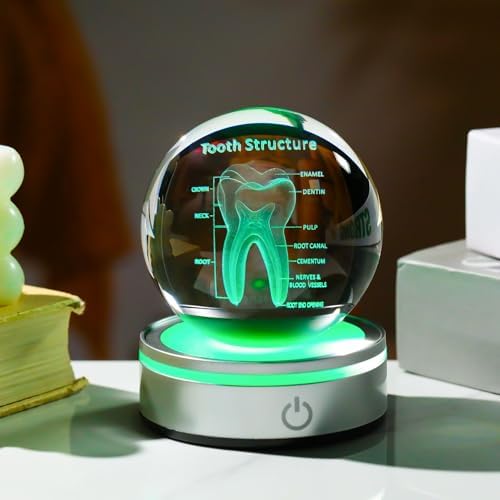 Tooth Model 3D Crystal Ball Dental Gifts for Women Men, Dentist Hygienist Present Office Decor with Led Base, Laser Etched Figurine Tooth Gift for Dental Student on Graduation Christmas - Image 4