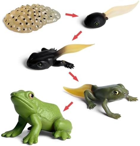 Life Cycleinsects Toys - 6Pcs Educational Figurine Set Ladyybuges - Image 6