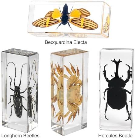 Extra Large 4-Pack Insect Specimens in Resin Crystals Preserved - Image 4
