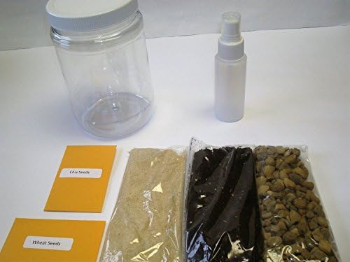 Terrarium Science Kit. (NEW & Improved-Includes Horticultural Charcoal) Build Your Own Miniature Garden. Great for Students Who Want to Learn About Botany, Eco-Systems and the Life Cycle of Plants. - Image 2