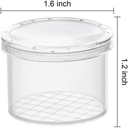 Coopay 40 Pieces Bug Viewer Critter Insect Cage Magnifying Insect Box Bug Magnifier Container Catcher Cage, Kids Science Nature Exploration Toys - Image 3