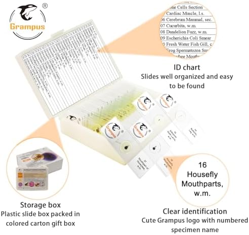 30 Prepared Microscope Slides with Specimens for Kids Students - Insects, for Biological Science Lab, Children's Science Education, Homeschooling Use - Image 2