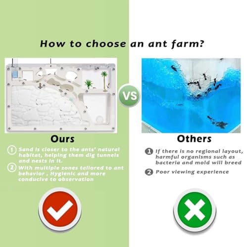 Ant Farm Castle - Large Viewing Area - Care for Live Ants - Ant Colony Observation Kits with Sand Habitat - Educational Science Gifts for Boys, Girls - Ant Farms for Kids, Adults - Image 3
