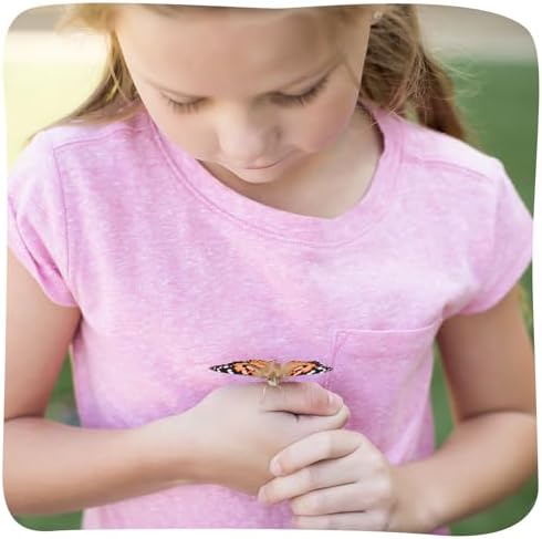 Insect Lore Cup of Caterpillars Basic – 5 Live Painted Lady Caterpillars with Food – Refill Kit for Butterfly Garden Habitat – STEM Science Activity for Kids & Classrooms - Image 5