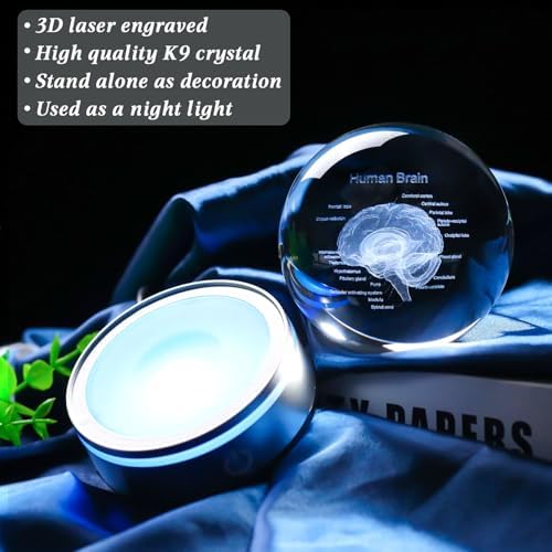 Brain Gifts for Neurologist, Laser Ethced Human Brain Anatomical Model 3D Crystal Ball, Brain Surgery Gifts for Doctors, Physiology Graduation Gifts for Medical Students for Christmas - Image 6