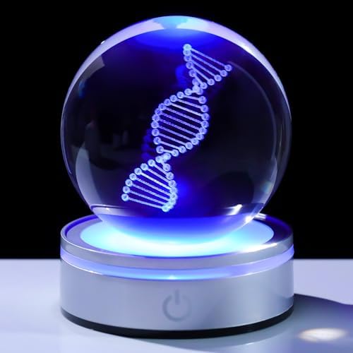 DNA Crystal Ball with LED Base - Unique 3D Laser Engraved Science Decor, Gift for Biology Teachers, Medical Students & Science Lovers, Classroom Lab Decor Night Light by LAFT