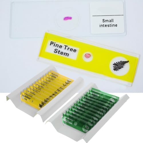 12pcs Microscopic Biological Specimens Prepared Biology Specimen Set for - Image 5