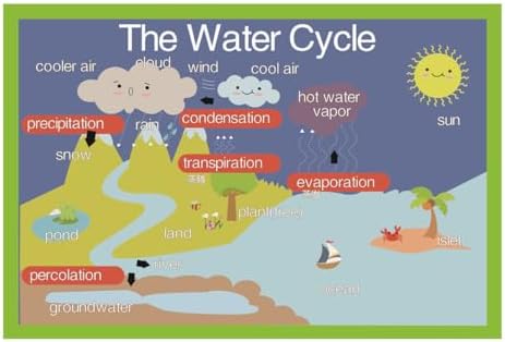 SANTSUN The Water Cycle Mind Mapping| Educational Posters for Kids(17x24in) by SANTSUN