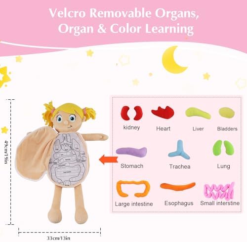 Vocheer Human Body Anatomy Toy, Human Body Model for Kids, Montessori Plush - Image 6