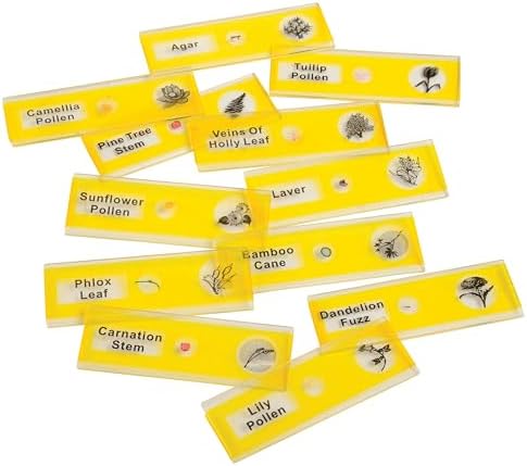 Prepared Microscope Slides for Kids – 12 Plastic Plant Specimens with Labels & Images – Safe, Durable Biology Science Kit for Students Ages 8+ by ConstructivePlaythings