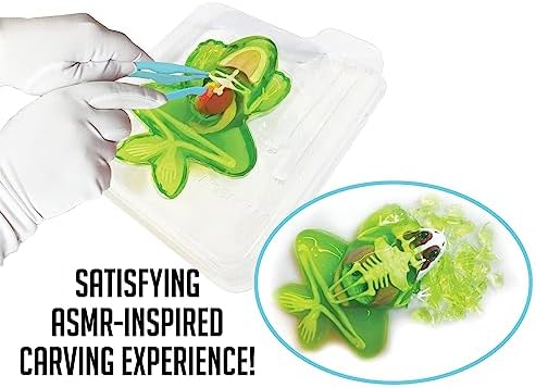 Dissect-It, Variety Animal Dissection Kit, STEM Toys for Kids, Ages 6+ - Image 3