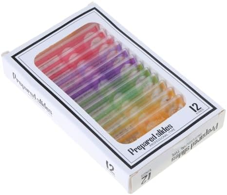 12pcs for Stereo Microscopes Kids Prepared Microscope Slides of Animals Flowers Sample Specimens - Image 6