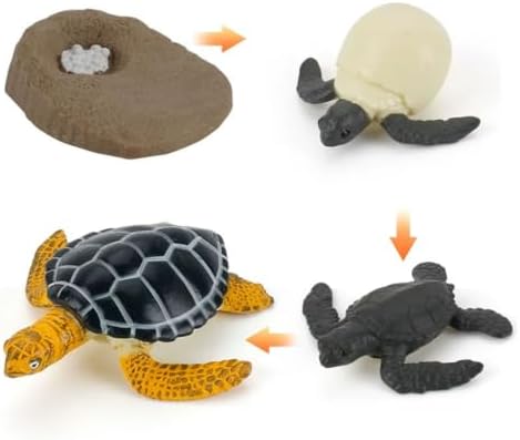 Montessori Animal Life Cycle Figurines by Unknown