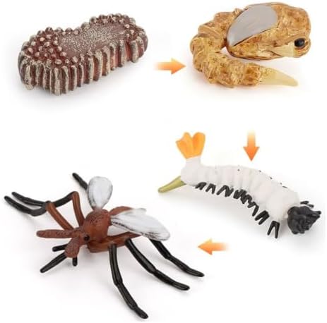 Montessori Animal Life Cycle Figurines by Unknown
