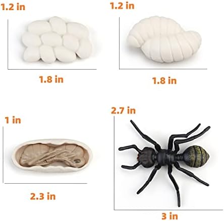 Montessori Life Cycle Animal Figures with Flash Cards, Realistic Animal Figurines Toy, Educational Matching Game for 3+ Year Old Kids (Ant) - Image 3