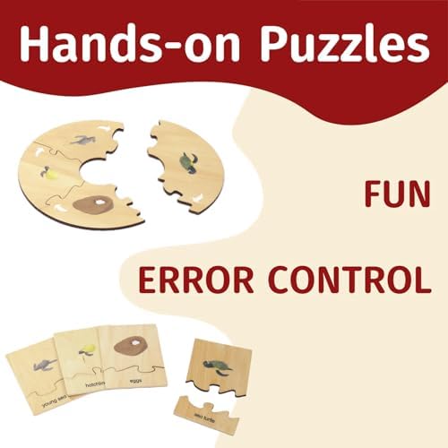 ancona Life Cycle- Sea Turtle, English Monolingual, Montessori Preschool Memory Matching Game Box Set with Animal Figurines & Matching Puzzle Cards, Early Education Toy - Image 3