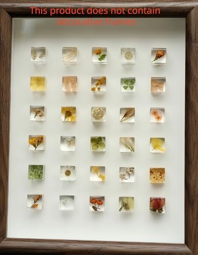 12pcs Plant Specimens,Resin Squares, Decorations,Children's Science Education Supplies,Drip-Dried Resin Flower Specimens,Real Flower Specimens for Microscope (Colorful) - Image 2
