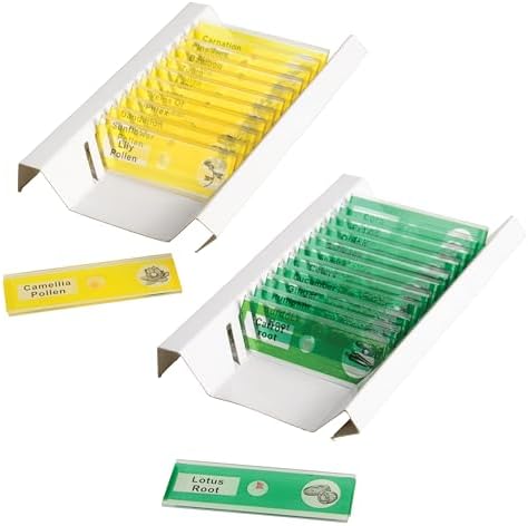 Prepared Microscope Slides for Kids – 24 Plastic Plant & Vegetable Specimens with Labels & Images – Safe, Durable Biology Science Kit for Students Ages 8+ - Image 2