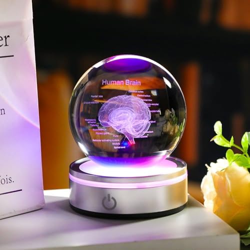 Brain Gifts for Neurologist, Laser Ethced Human Brain Anatomical Model 3D Crystal Ball, Brain Surgery Gifts for Doctors, Physiology Graduation Gifts for Medical Students for Christmas - Image 3
