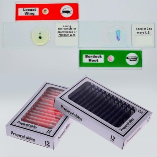 12pcs Microscopic Biological Specimens Prepared Biology Specimen Set for - Image 3