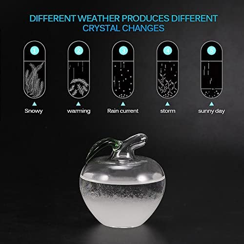 Mini Storm Glass Weather Forecaster, Water Drop Weather Predictor, Barometer Bottle, Drop-Shaped Glass Barometer, Home and Office Decorative Glass Bottles - Image 3
