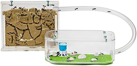AntHouse - Natural Sand Ant Hill- Basic Kit | Sandwich (4.72 x 3.94 x 0.39 in) + Forage Box (7.09x 3.94 x 1.97 in) | Ant Farm by AntHouse