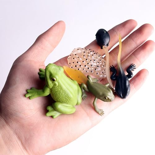 Life Cycleinsects Toys - 6Pcs Educational Figurine Set Ladyybuges - Image 5