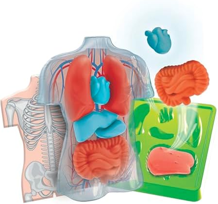 Galileo Laboratory Anatomy Lab – Interactive Educational Game for Anatomy Exploration – Experiments for Children from 8 years of age by Clementoni 59441 - Image 4