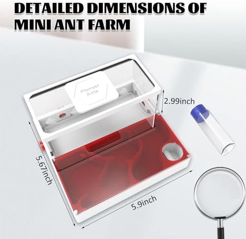 Ant Farms with Yellow Sand and Tool Kit-Transparent Ant Farm for Adults 3D Printed Ant Nest Workshop Castle Ant Garden for Live Ants and Queen (Model-B) - Image 2