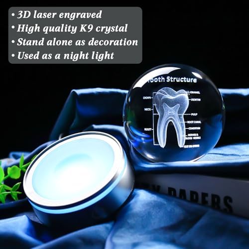 Tooth Model 3D Crystal Ball Dental Gifts for Women Men, Dentist Hygienist Present Office Decor with Led Base, Laser Etched Figurine Tooth Gift for Dental Student on Graduation Christmas - Image 6