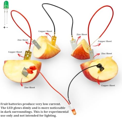 Science Kits for Kids Age 8-12, 6 Pack Fruit Battery Bulk STEM Circuit Kits - Image 3
