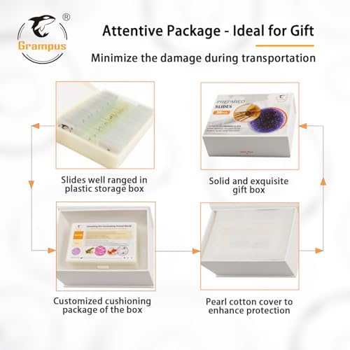 30 Prepared Microscope Slides with Specimens for Kids Students - Insects, for Biological Science Lab, Children's Science Education, Homeschooling Use - Image 6