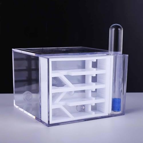 Baoblaze ANT Farm Habitat Toys Acrylic Workshop DIY Supplies House for Children's Day Gift Science Observation Decor Tabletop - Image 5