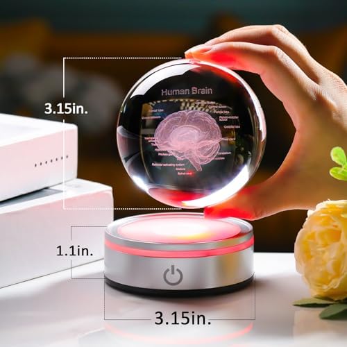 Brain Gifts for Neurologist, Laser Ethced Human Brain Anatomical Model 3D Crystal Ball, Brain Surgery Gifts for Doctors, Physiology Graduation Gifts for Medical Students for Christmas - Image 2