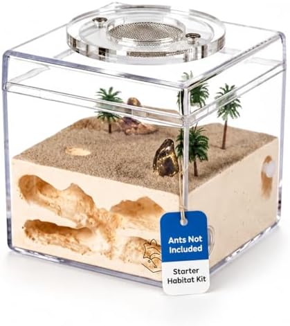 Ant Farm Starter Kit for Beginners & Hobbyist Formicarium Ants NOT Included by Empireofants