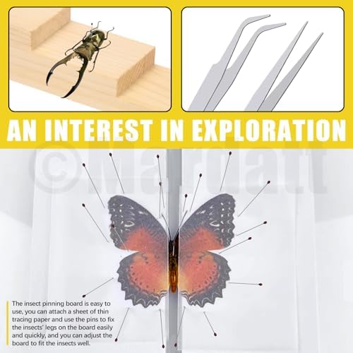 Mardatt 15Pcs Making Insect Specimen Tools Kit, Insect Pinning Kit with Insect Pinning Block, Insect Pinning Board, Insect Pins, Wings Pressing Paper, Insect Display Case, Tweezers, Scissors - Image 6
