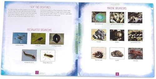 Educational Insights Nancy B's Science Club AquaScope Underwater Viewer - Image 3