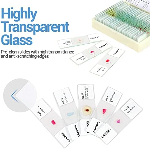 30 Microscope Slides with Specimens for Kids, Prepared Microscope Slides for Kids Microbiology, Glass Slides for Microscope, Biology Gifts for Adults Kids - Image 2