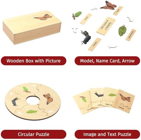 ancona Life Cycle- Butterfly, English Monolingual, Montessori Preschool Memory Matching Game Box Set with Animal Figurines & Matching Puzzle Cards, Early Education Toy - Image 2