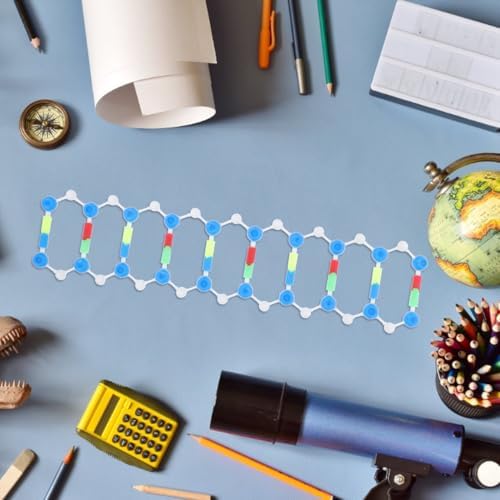 Mobestech DNA Model Kit for Classroom Science Decor 3 Sets Double Helix Molecular Structure Educational Tool for Genetics and Biology Learning - Image 4