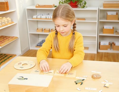 ancona Life Cycle- Sea Turtle, Spanish/Simplified Chinese with Pinyin Bilingual, Montessori Preschool Memory Matching Game Box Set with Animal Figurines & Matching Puzzle Cards, Early Education Toy - Image 5