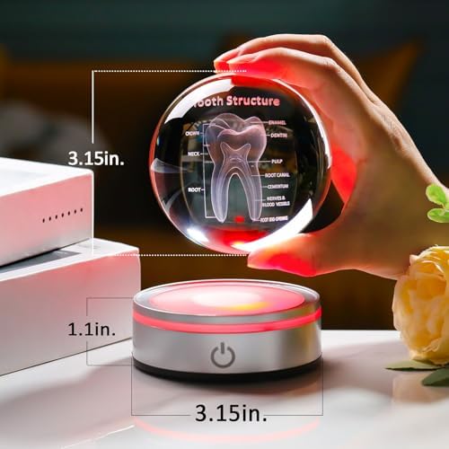 Tooth Model 3D Crystal Ball Dental Gifts for Women Men, Dentist Hygienist Present Office Decor with Led Base, Laser Etched Figurine Tooth Gift for Dental Student on Graduation Christmas - Image 2