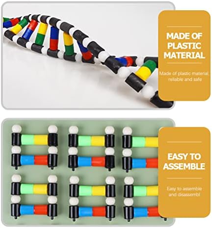 iplusmile DNA Double Helix Structure Models Kit Biological Science Popularization Teaching Aid for DNA Assembling, Educational Learning for School Student - Image 3